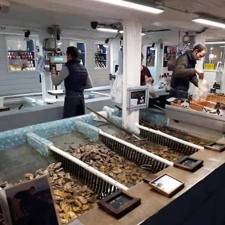 Bellevue - Anglo-norman Seafront House וילה וויסטרהאם